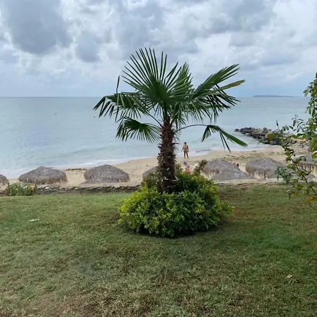 Jacky's - в влас Sveti Vlas