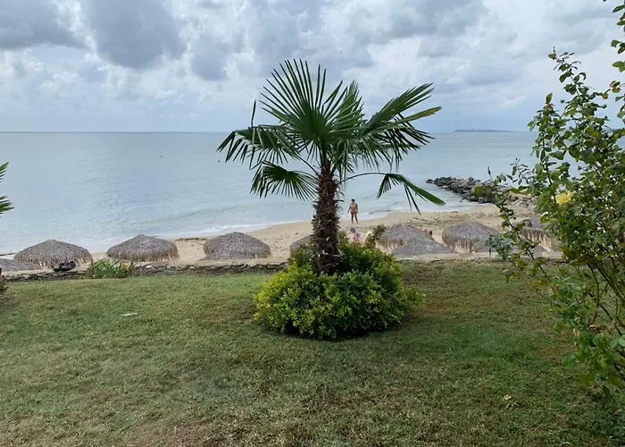 Jacky's - в влас スヴェティ・ヴラス